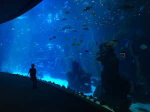 Poema del Mar Aquarium